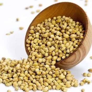 Premium Indian Coriander Seeds (Dhaniya) | Eagle Sortex 99% Purity | Golden-Green Hue & High Aroma | Direct Export Supply from Noorgat Enterprises Premium Indian Coriander Seeds (Dhaniya) | Eagle Sortex 99% Purity | Golden-Green Hue & High Aroma | Direct Export Supply - Noorgat Enterprises - India